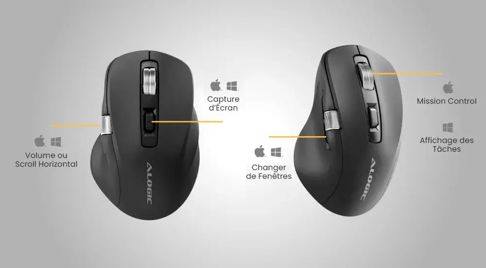 Souris Optique ALOGIC Apex