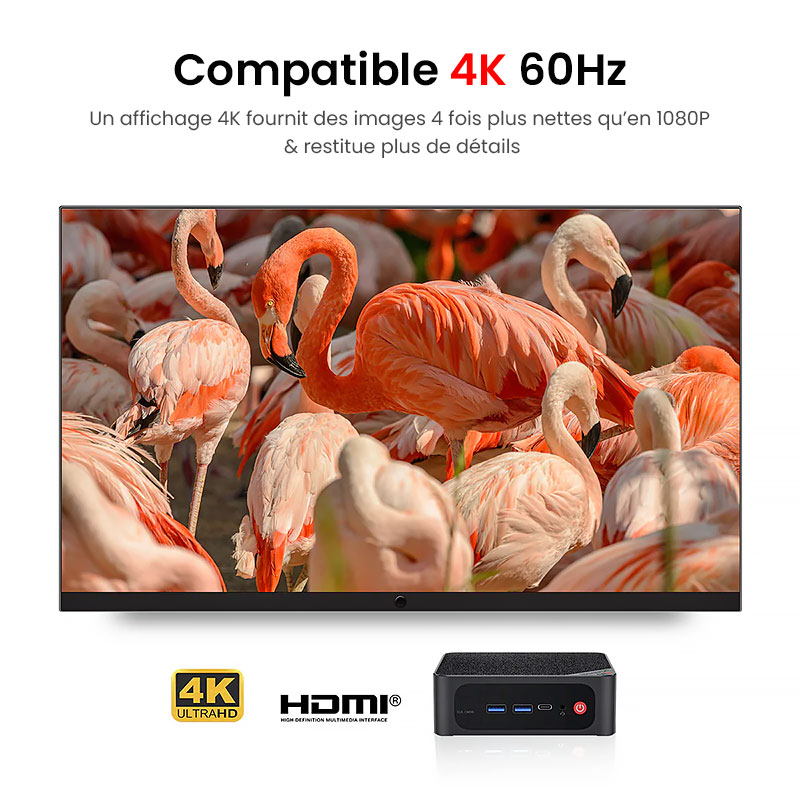 Mini PC BEELINK Ser5 Max Avec Windows 11 Pro