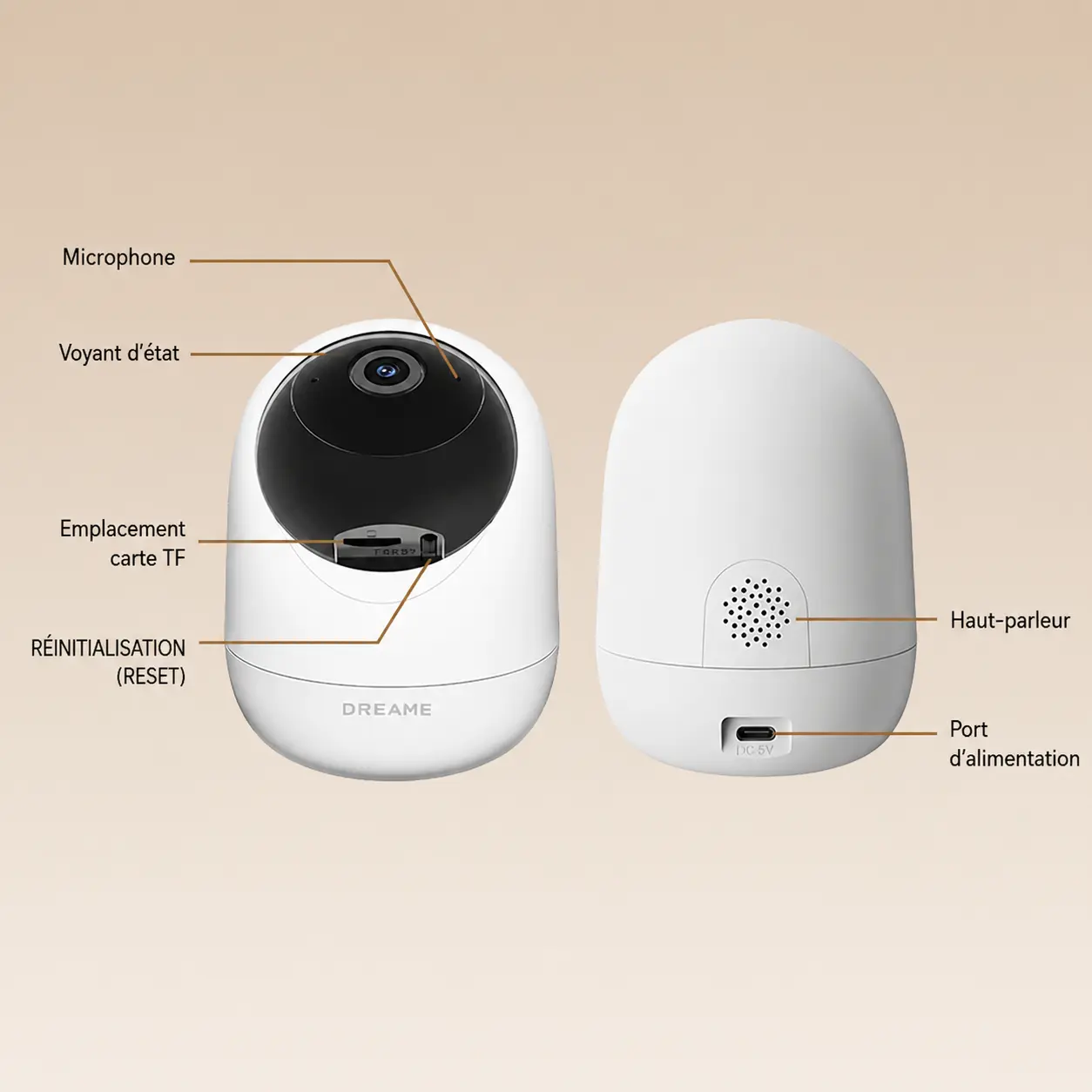 Vue schématique des composants microphone voyant carte TF reset haut-parleur et port d alimentation