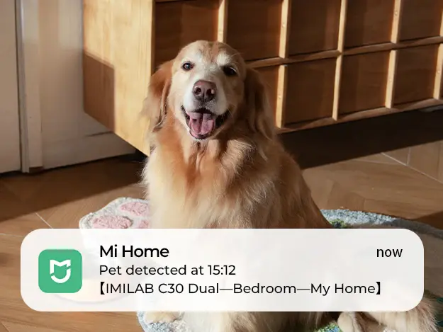 Caméra WiFi IMILAB C30 Dual