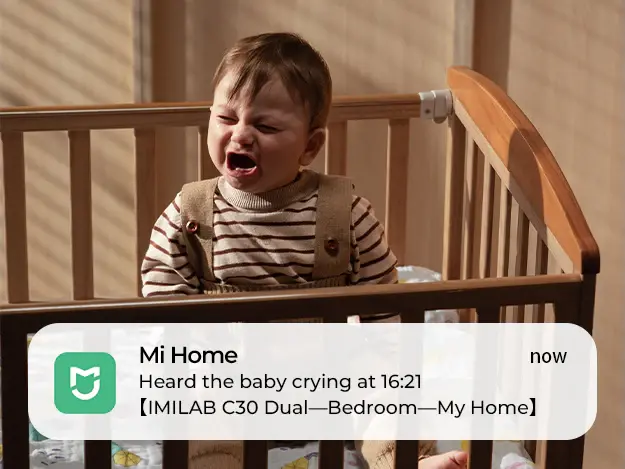 Caméra WiFi IMILAB C30 Dual