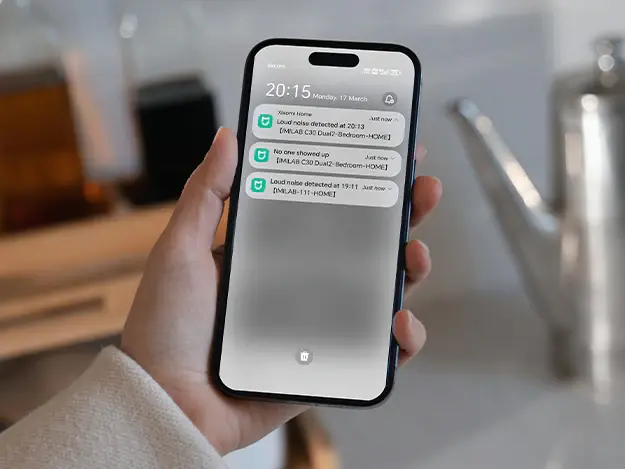 Caméra WiFi IMILAB C30 Dual