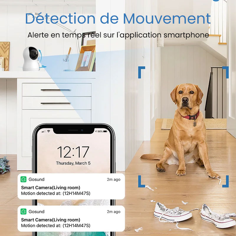 Caméra WiFi GOSUND IPC2 2K