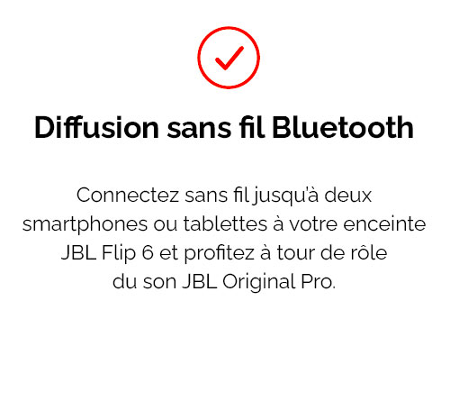 Enceinte Bluetooth JBL Flip 6 avec Son JBL Original Pro 30W RMS | Étanche Eau & Poussière IP67