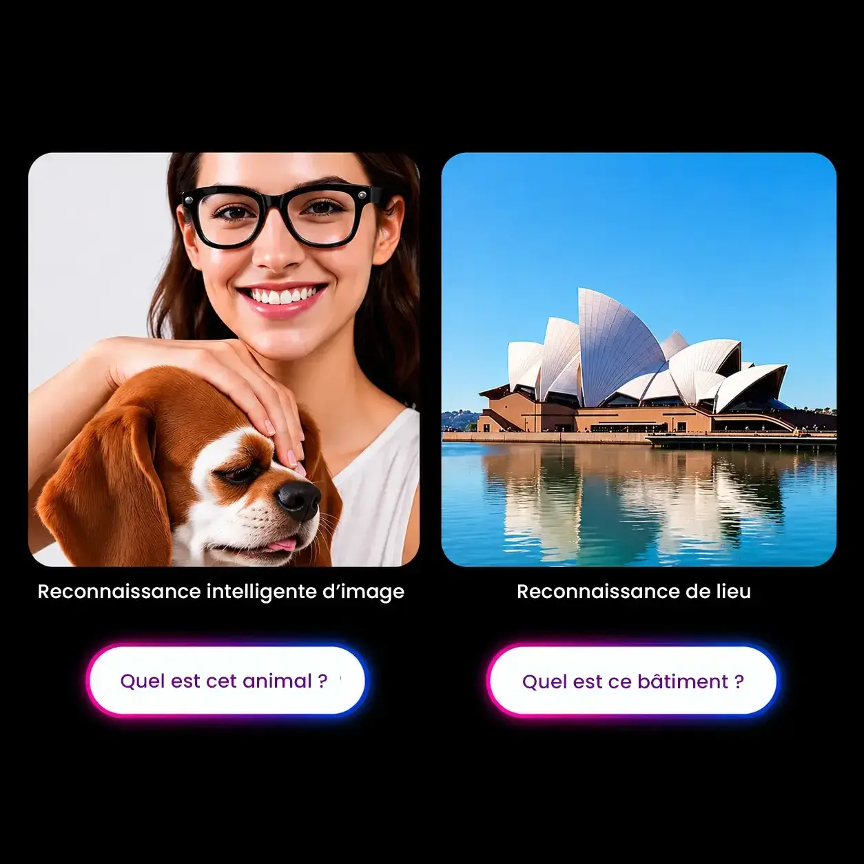 ChatGPT avec Reconnaissance Visuelle intelligente d'image et de lieu