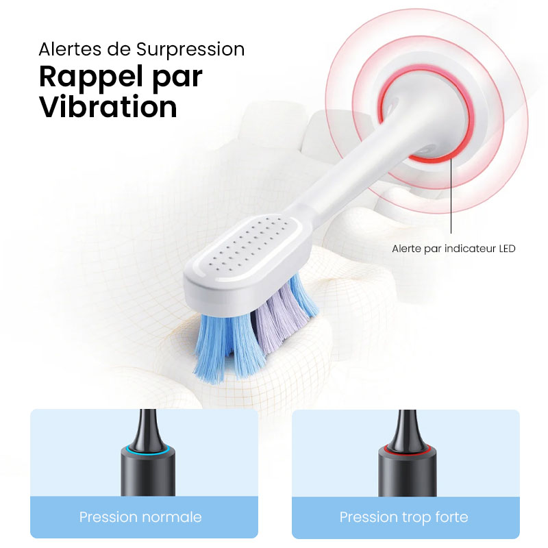 Brosse à Dents Connectée XIAOMI Mijia T501