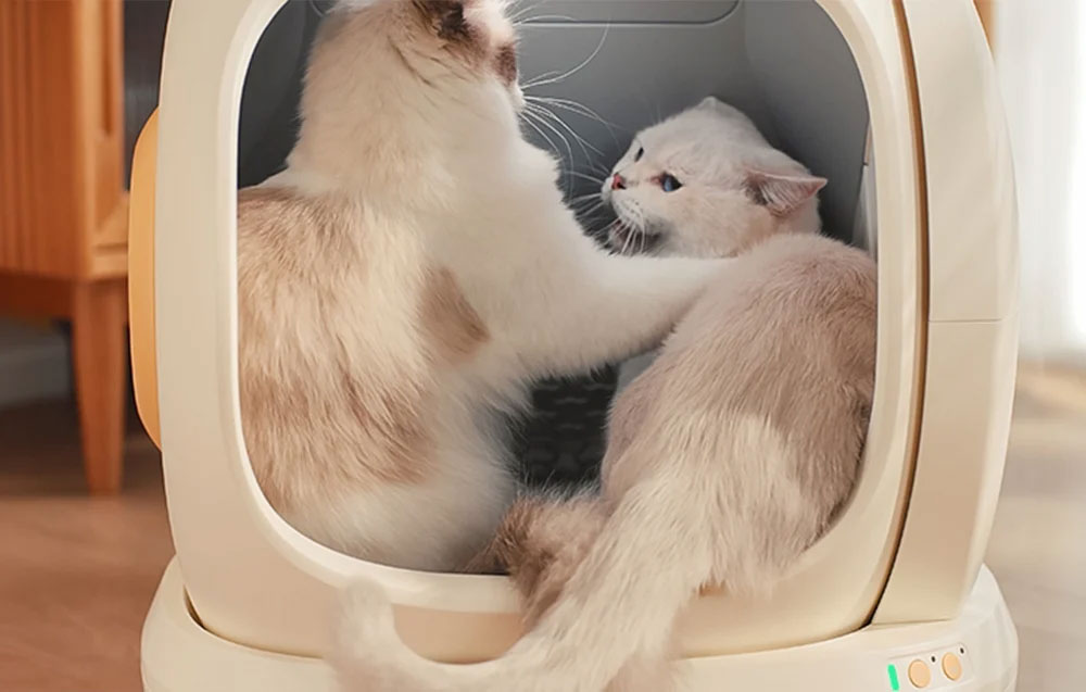 Litière Autonettoyante UBPET C20