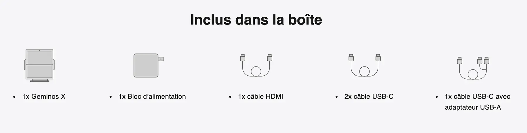 Contenu de la boîte du Mobile Pixels Geminos X avec écran, alimentation et câbles inclus