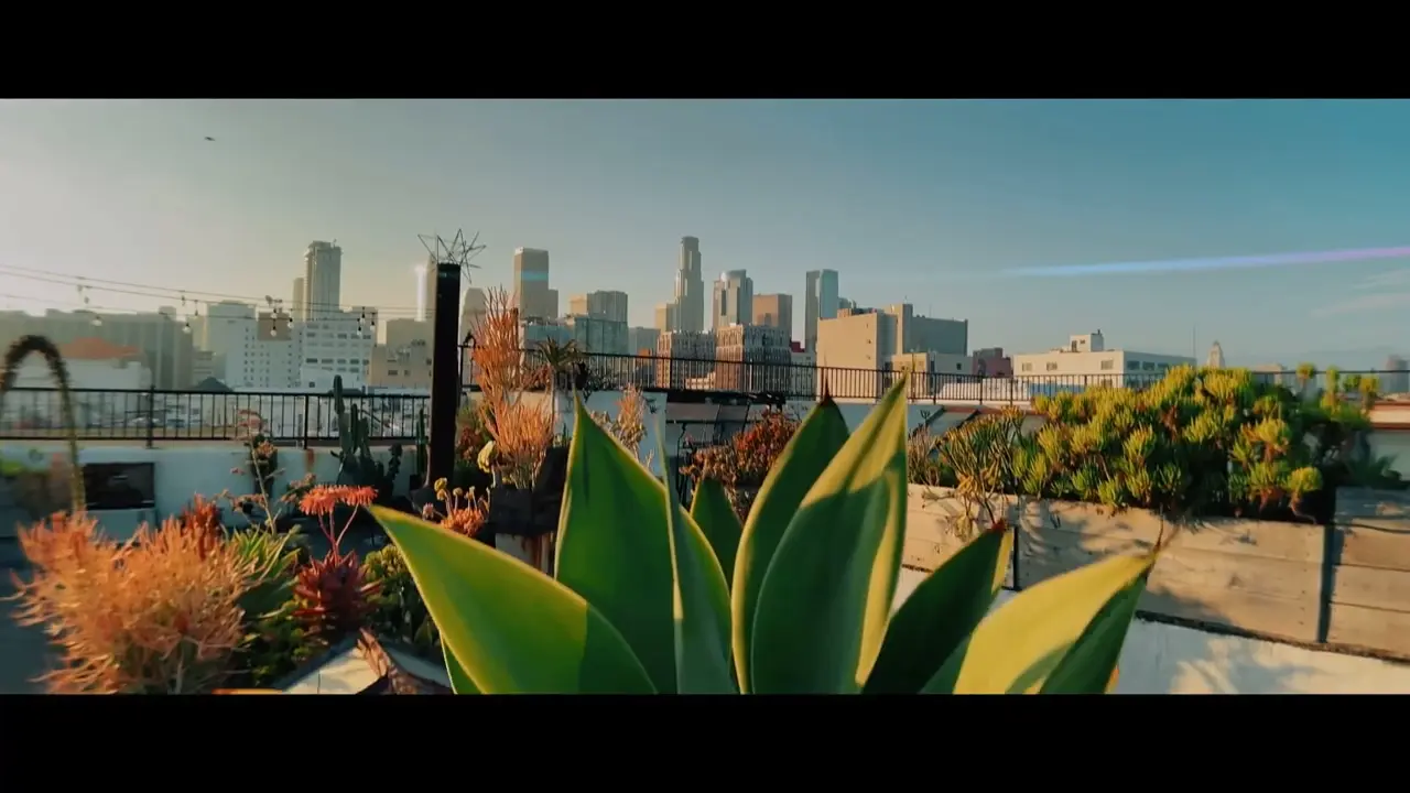 Objectif MOMENT Anamorphique 1.55x T-Series | Format Cinéma 2.40:1