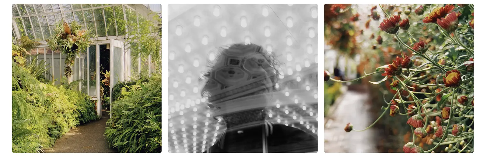 Objectif MOMENT Téléobjectif 58mm T-Series