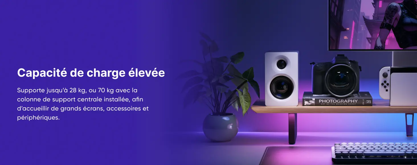 Nanoleaf Support Écran RVB Noyer – capacité de charge élevée jusqu'à 28 kg ou 70 kg avec colonne