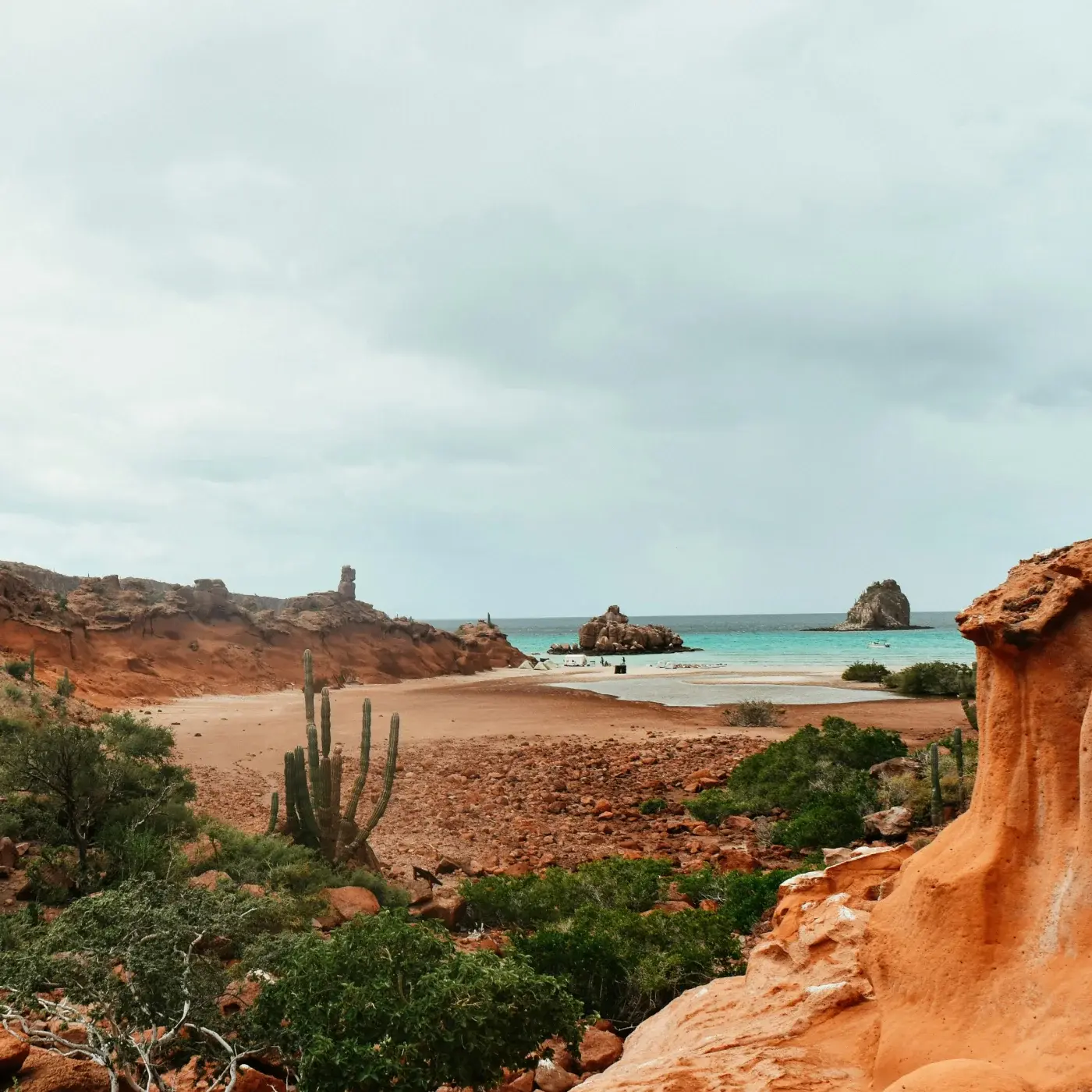 Paysage de Basse-Californie avec roches orangées, cactus et océan turquoise, inspiration du design NOMAD Rugged Case Arroyo