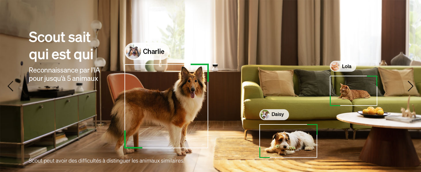 Caméra WiFi PETLIBRO Scout HD
