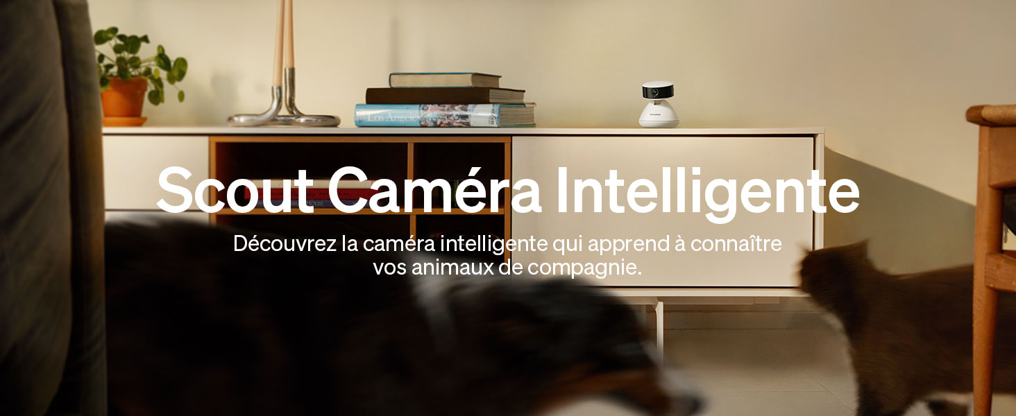 Caméra WiFi PETLIBRO Scout HD