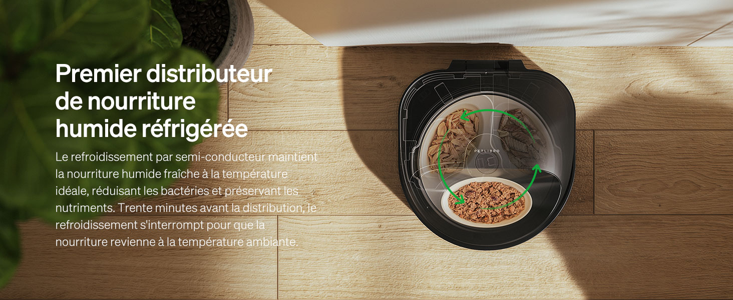 Distributeur Nourriture Humide PETLIBRO Polar