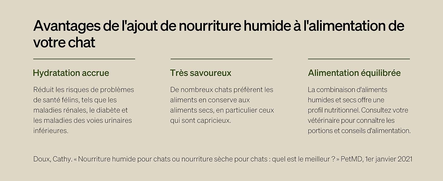 Distributeur Nourriture Humide PETLIBRO Polar