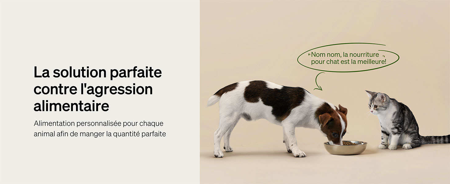 Distributeur de Nourriture PETLIBRO One
