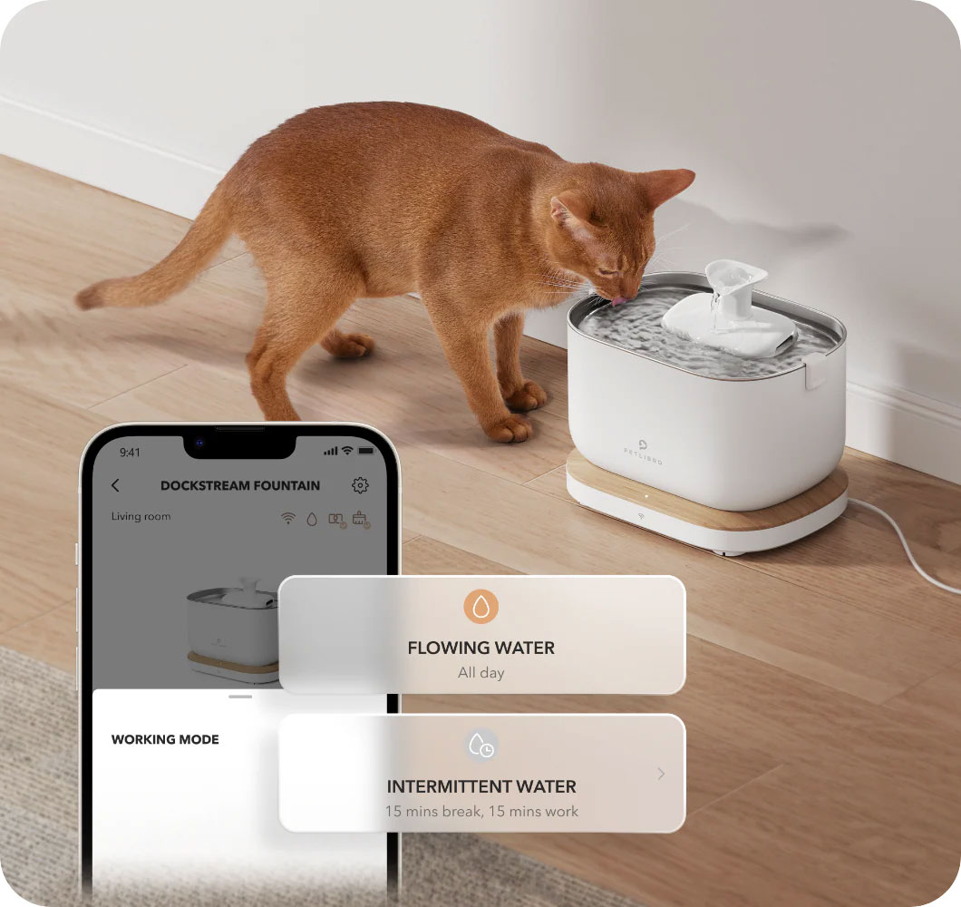 Fontaine à Eau PETLIBRO DockStream WiFi - Station de Charge Sans Fil