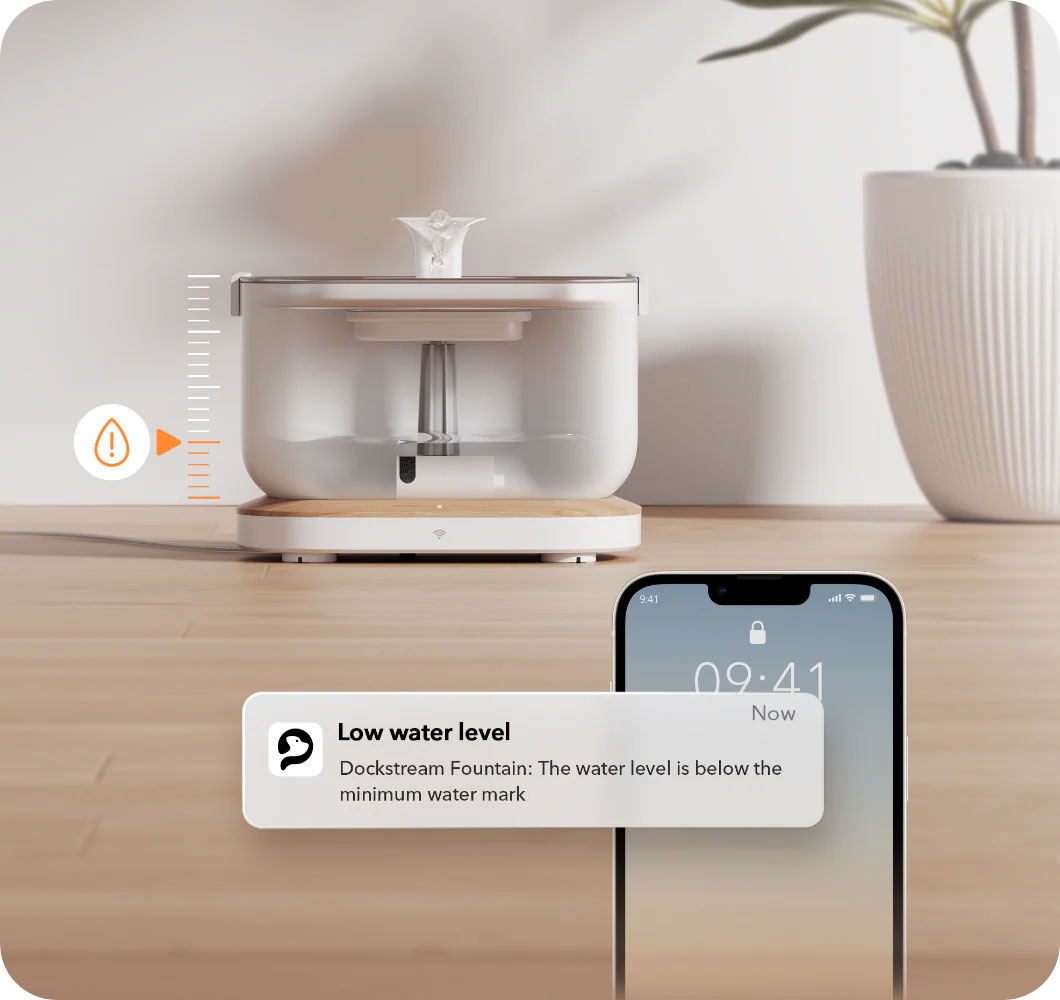 Fontaine à Eau PETLIBRO DockStream WiFi - Station de Charge Sans Fil