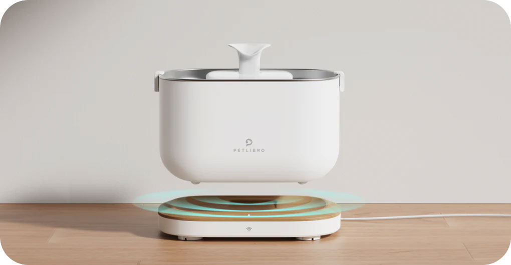 Fontaine à Eau PETLIBRO DockStream WiFi - Station de Charge Sans Fil