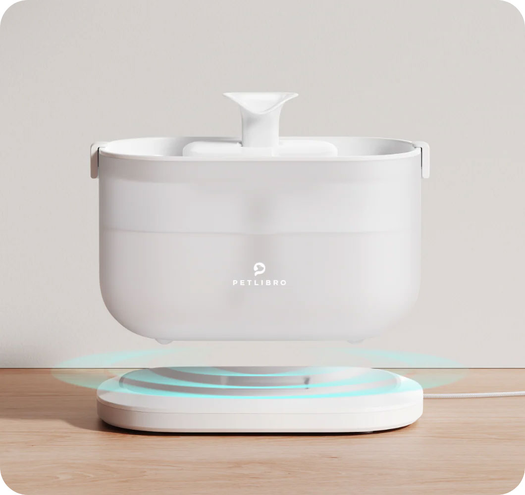 Fontaine à Eau PETLIBRO DockStream - Station de Charge Sans Fil