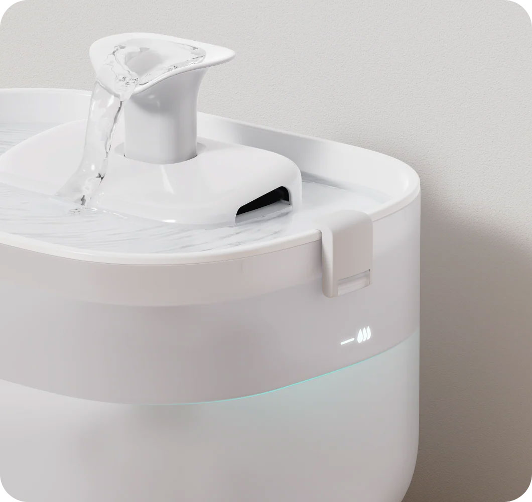 Fontaine à Eau PETLIBRO DockStream - Station de Charge Sans Fil