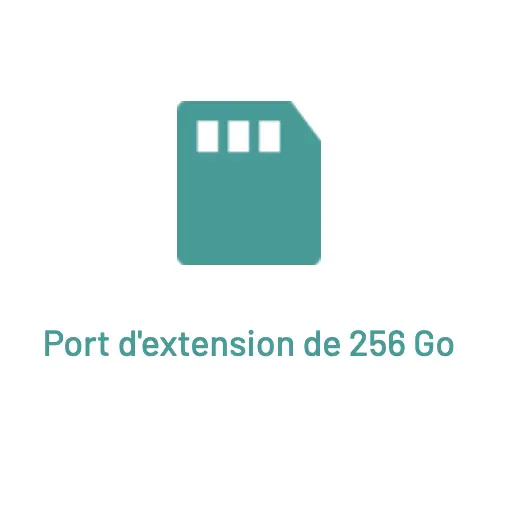 Port d’extension 256 Go