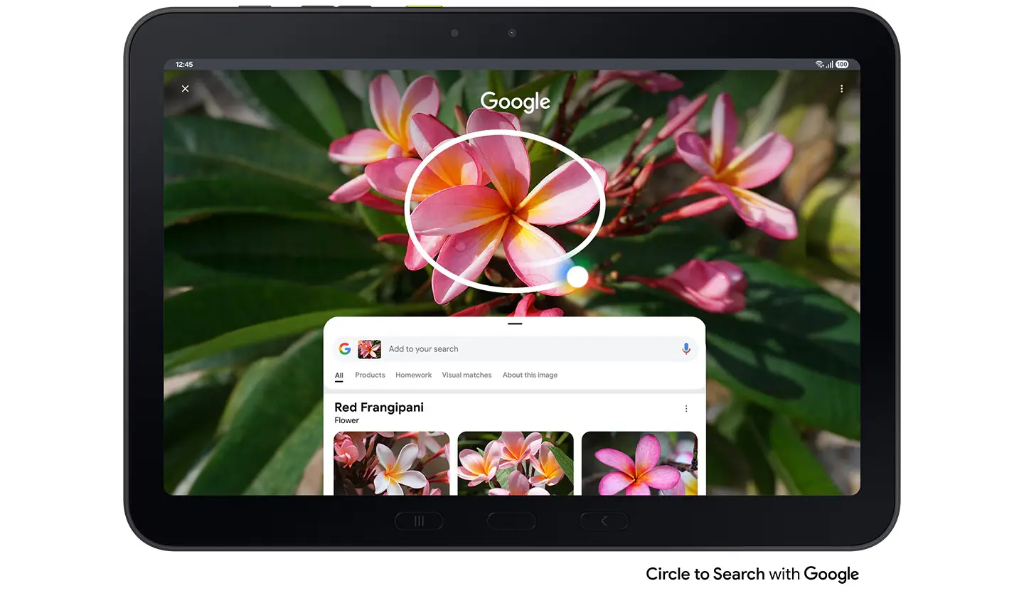 Samsung Galaxy Tab Active5 Pro Circle to Search Google recherche visuelle intelligente