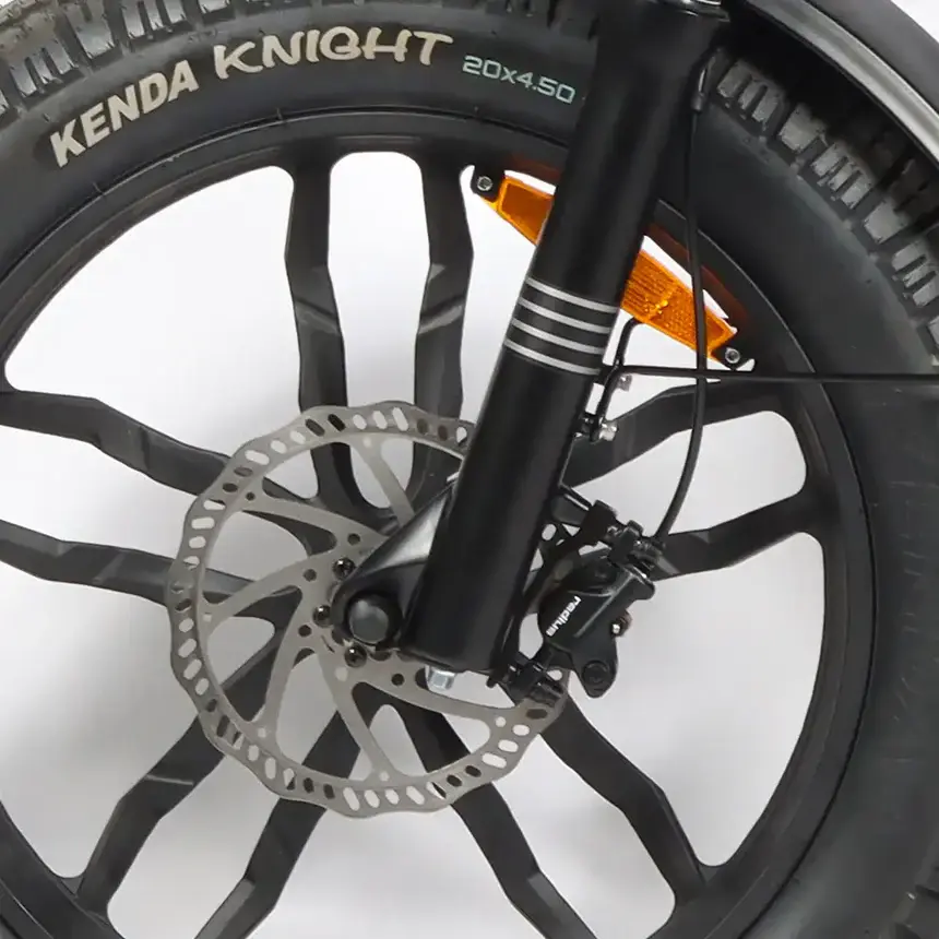 Vélo Électrique YOUIN Las Vegas