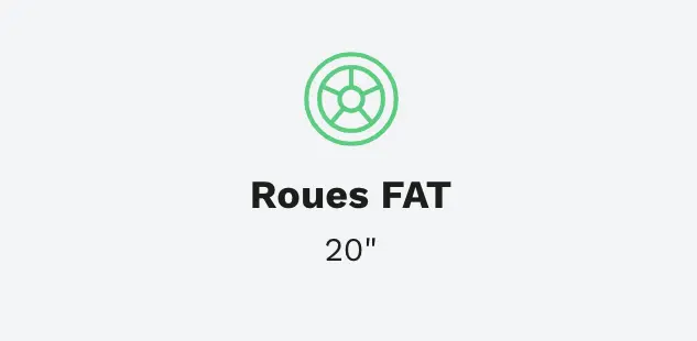 Vélo Électrique YOUIN Las Vegas