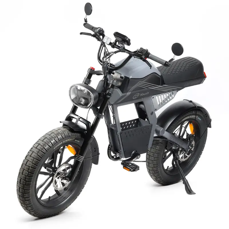 Vélo Électrique YOUIN Las Vegas