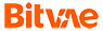 BITVAE